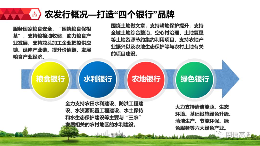 高阳农发行携手农业政策金融助力服务乡村振兴