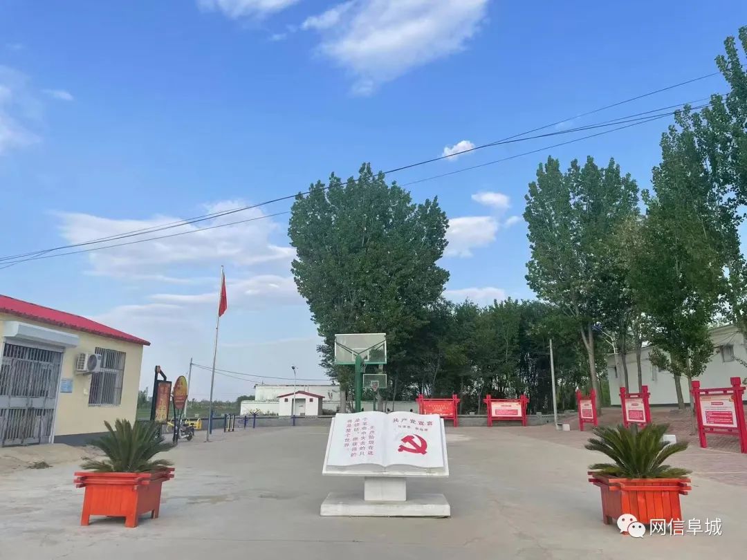 今日最头条阜城县崔家庙镇打造美丽乡村升级版描绘乡村振兴新画卷