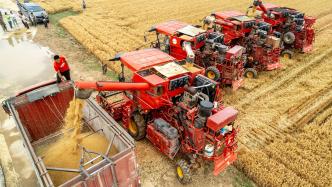 滑县麦收：刚刚开始就结束了，181.2万亩小麦收获即将收官了