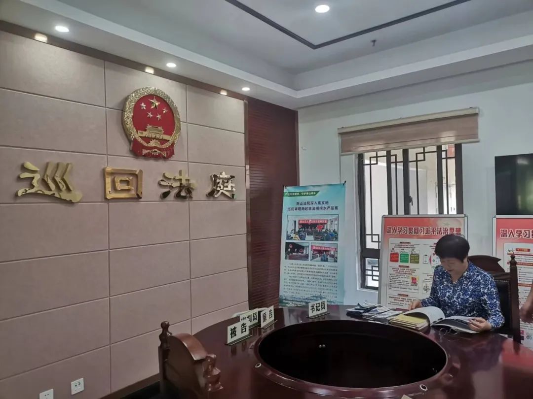 为群众办实事示范法院创建活动雨山法院生态环保旅游巡回法庭为长江大