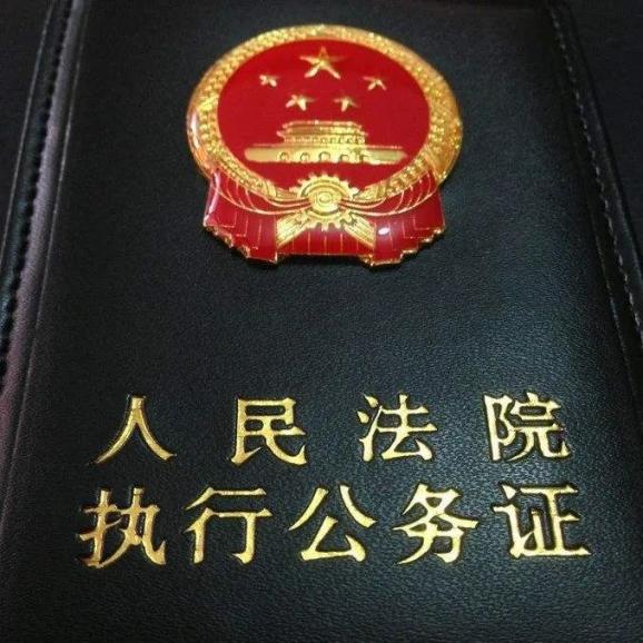 为群众办实事示范法院创建活动一次有效执行促成两案执结