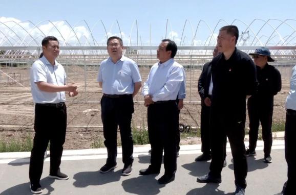 省委巡视办主任王立泰一行调研洮阳镇双联村驻村帮扶工作并慰问联系