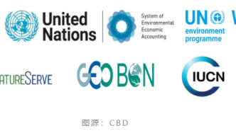 绿会国际部代表团已参加2020年后全球生物多样性框架工作组第四次会议简报会