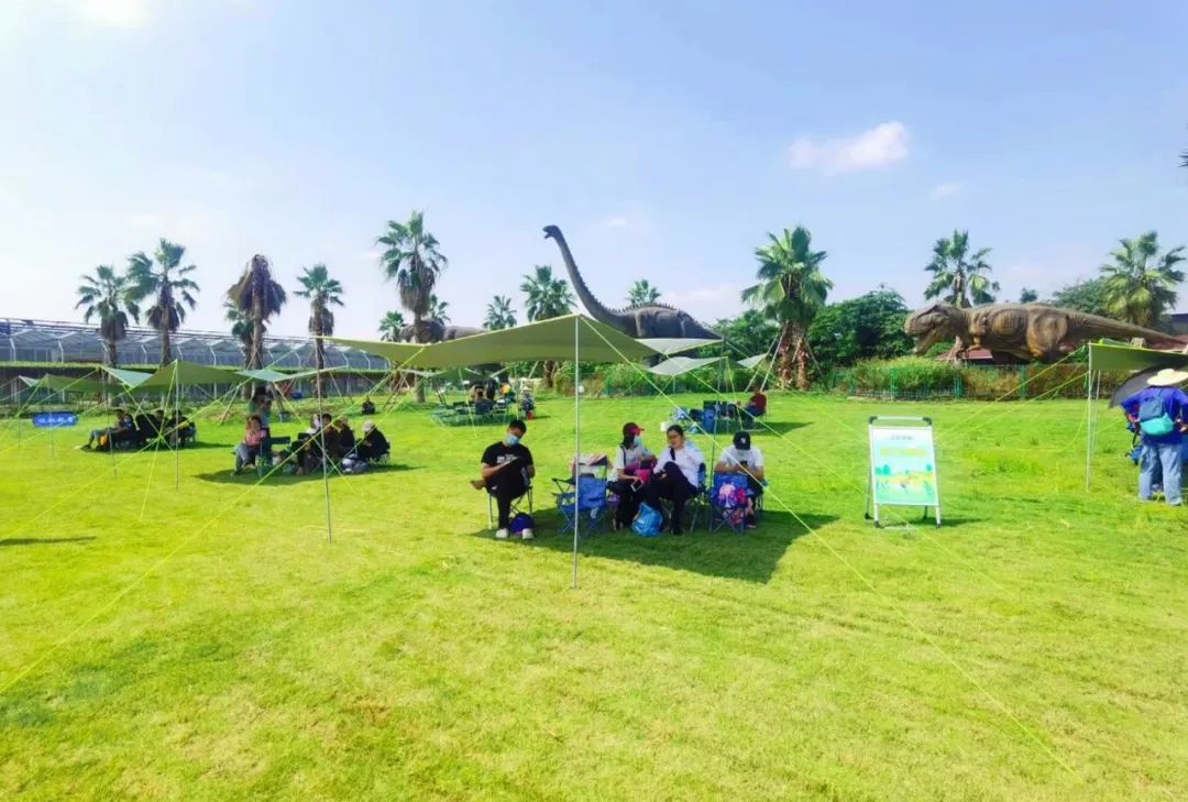 公园草坪搭帐篷需预约广东一地拟出新规