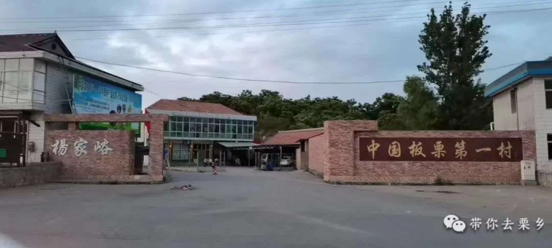 秋之宝板栗专业合作社今日迎来了"客人",为两千多亩板栗承保了价格
