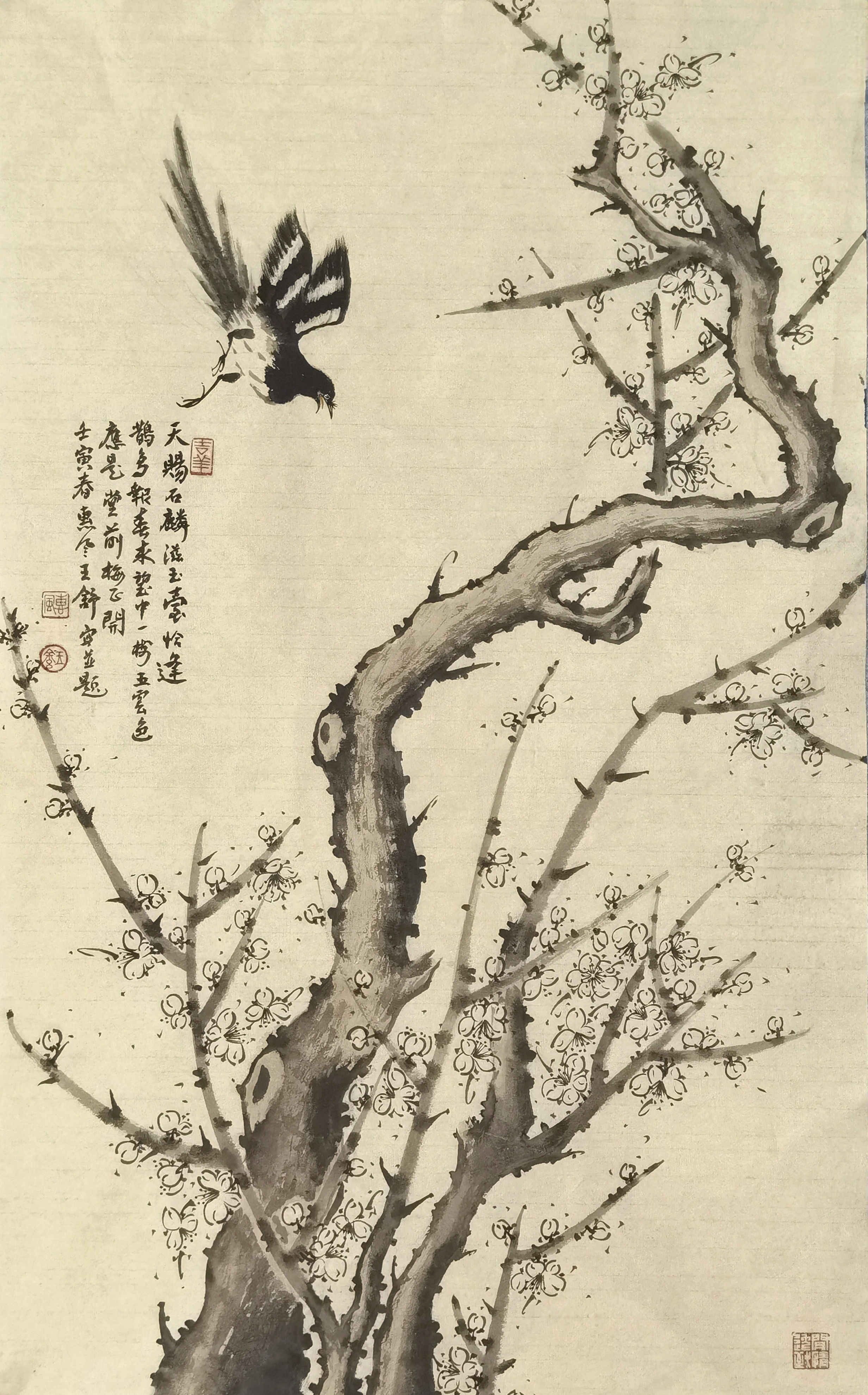 新锐画家王舒作品赏析