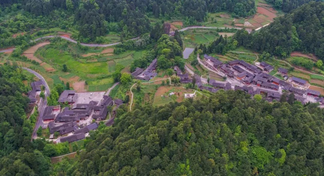 乡游黔中 · 务川县 大竹村丨山下竹林清幽,觅得绿野仙踪