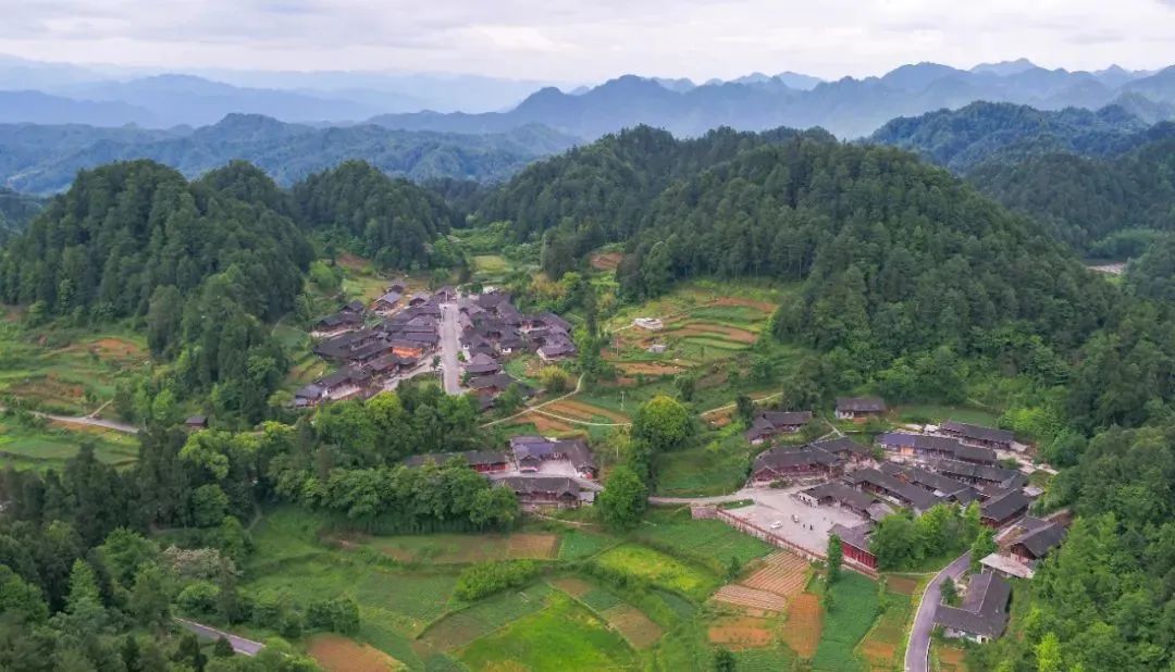 风动竹林遵义市务川仡佬族苗族自治县黄都镇大竹村:地处务川自治县