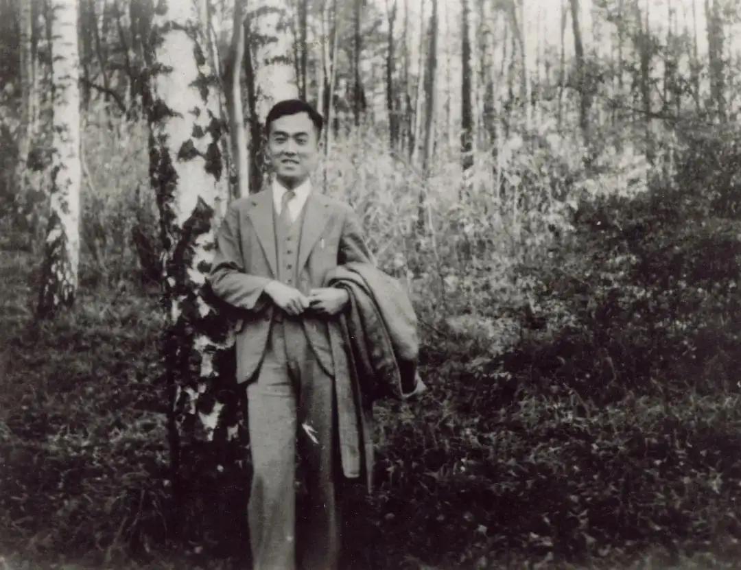 季羡林的跨国之恋用一生岁月等待值得吗