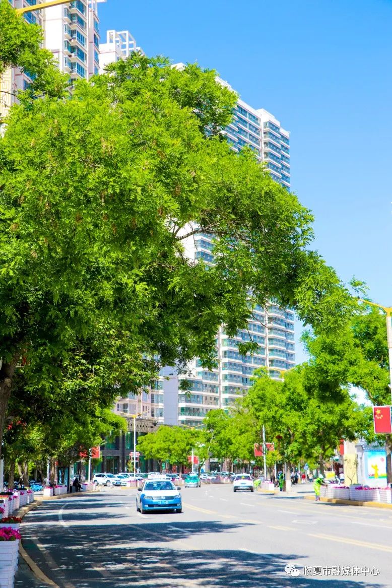 一位摄影师镜头里临夏的市井街巷,静下来看有你的城市