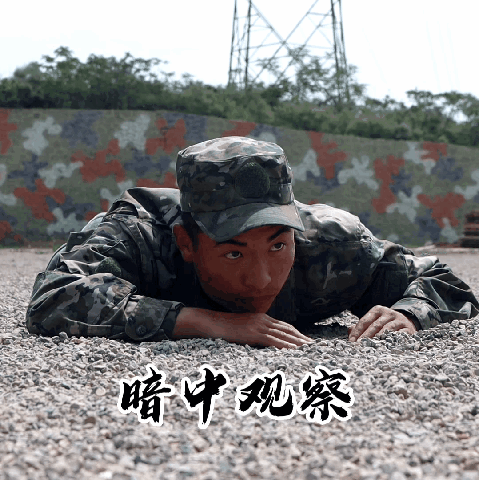 军营定制版表情包上线啦!