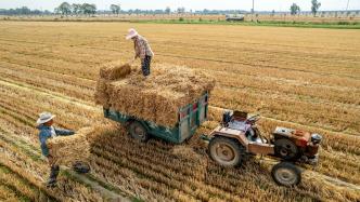 滑县农业生产新气象：小麦秸秆打捆销售好处多，增加收入又环保