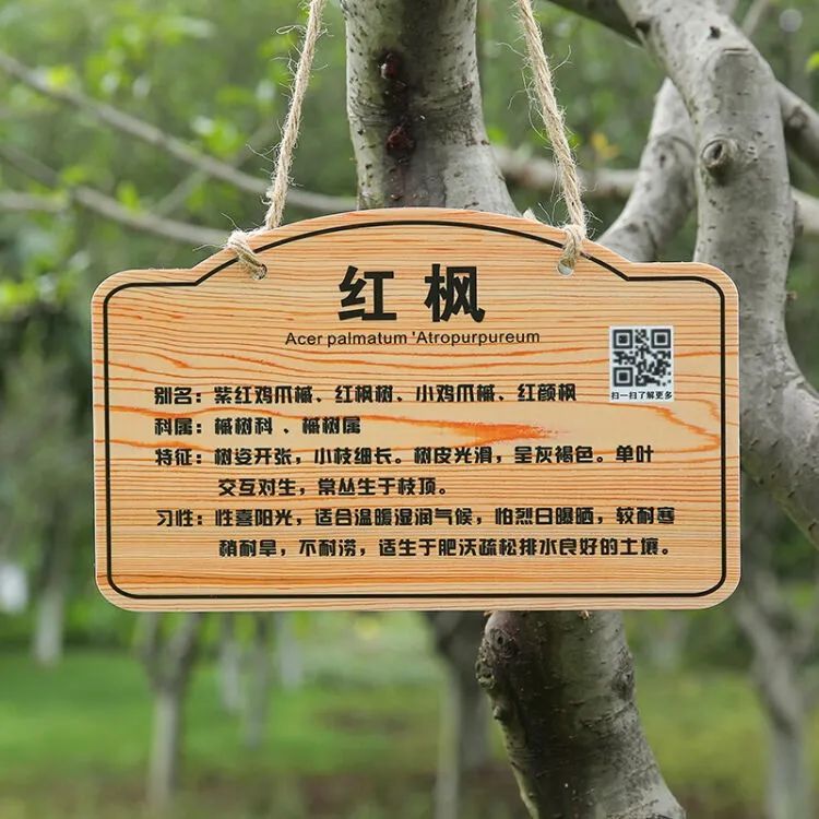 少了这个牌子,公园中的"植物百科"你还能读懂吗?