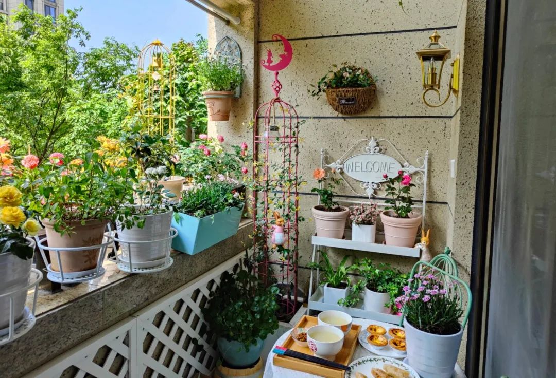 最美阳台展出看美丽阳台展最美劳动成果