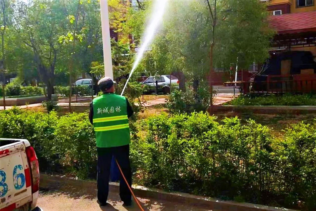 广场,庭院和主次干道绿化带等有针对性进行喷药杀虫,配合日常养护管理