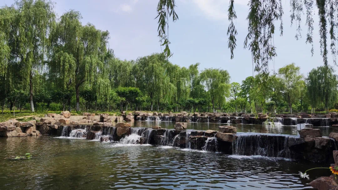 临夏三峡湿地图片