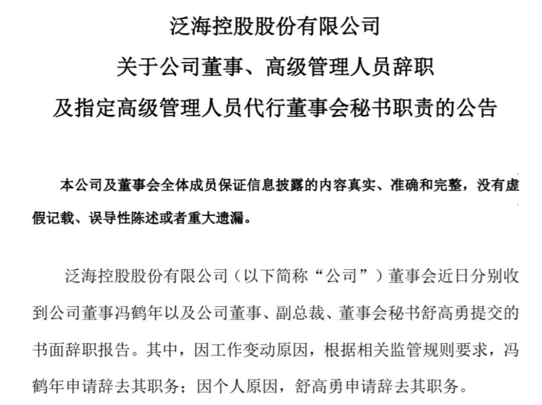 民生证券董事长被查曾年入超2000万上市计划再生波折