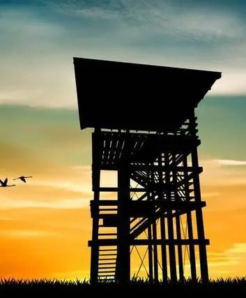 抗疫故事瞭望哨