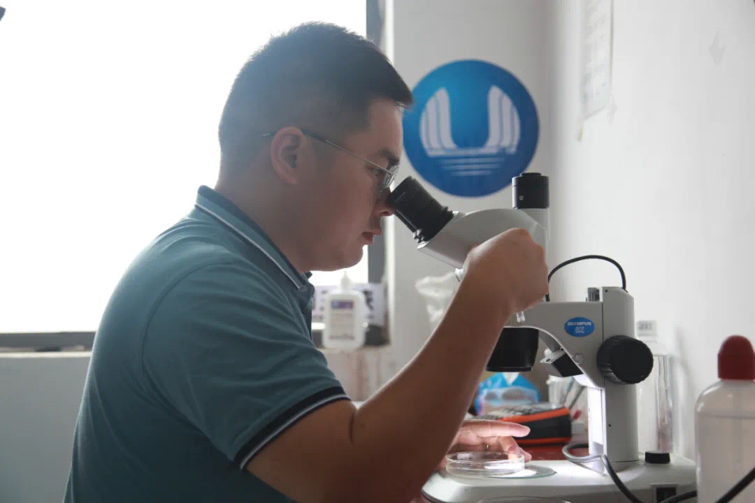 4亿粒溪洛渡向家坝三峡联合生态调度试验取得圆满成果