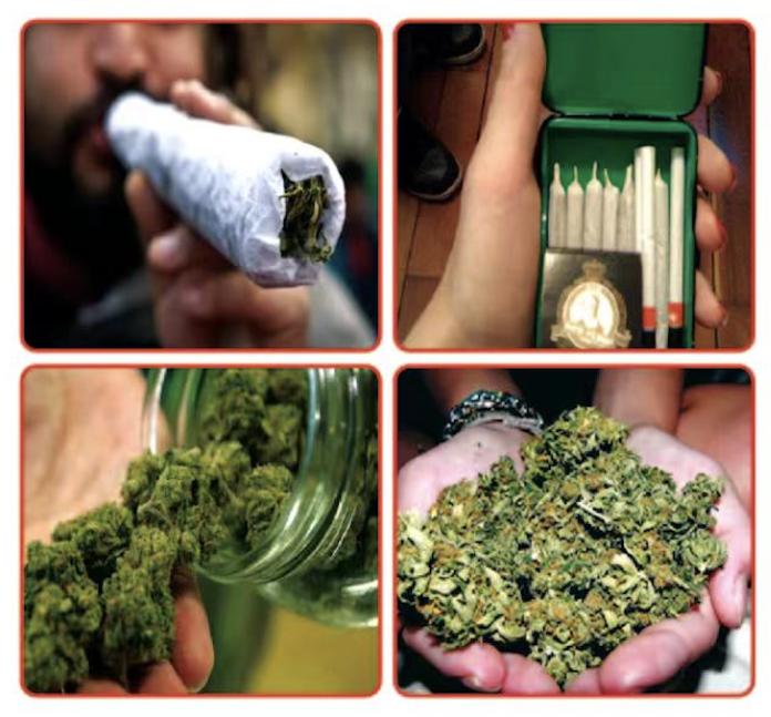 大麻树脂:用大麻果实和花顶部分的树脂制成,又叫大麻脂,其中thc的含量