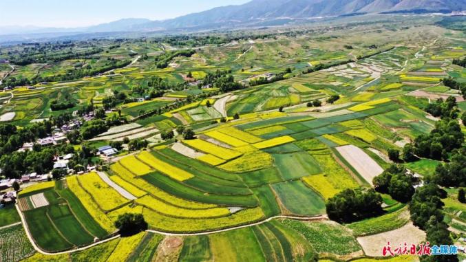 临夏州积石山县大地镶金山乡如画