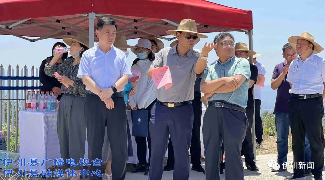 伊川迎来全市观摩团