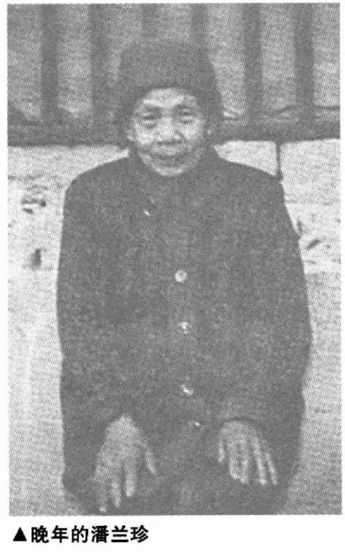 潘兰珍陈独秀晚年的温情