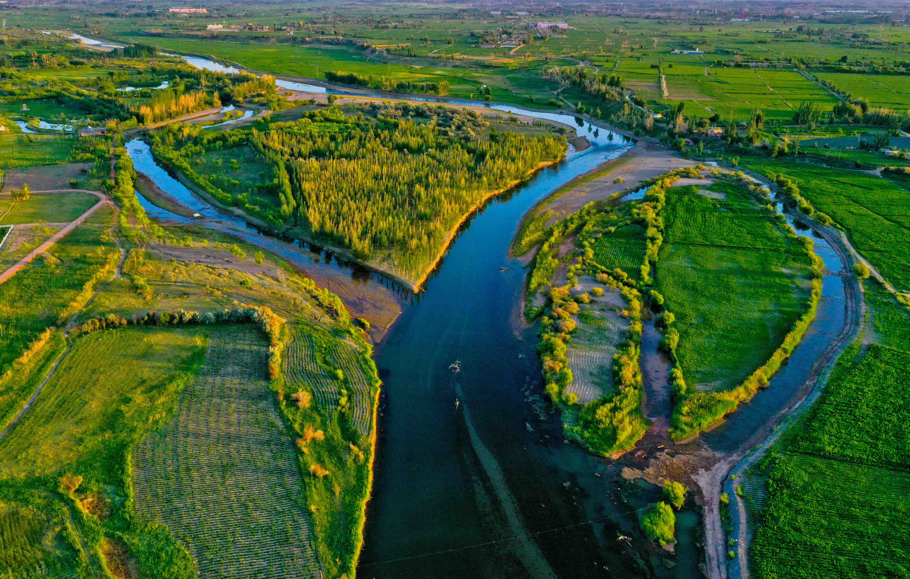 盛夏时节,张掖黑河两岸尽展绿色生态美卷