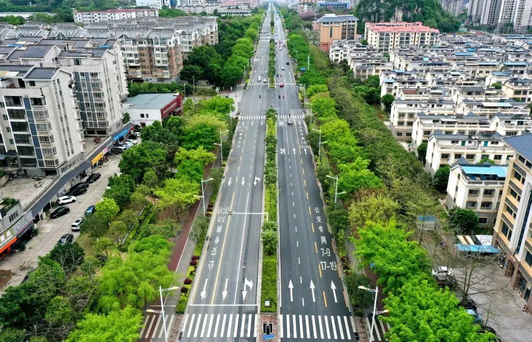 柳州莲花大道图片