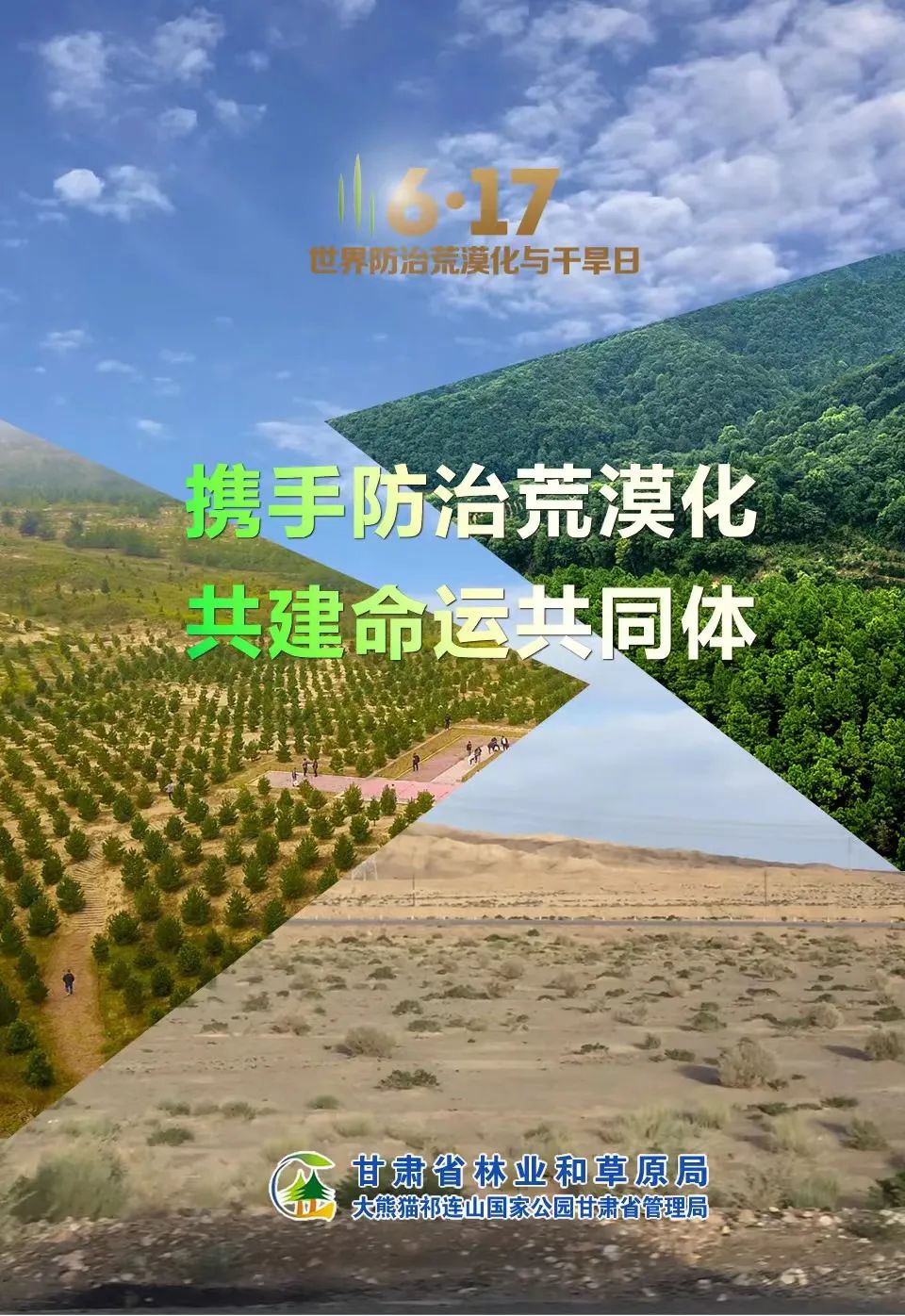 海报丨携手防治荒漠化共建命运共同体
