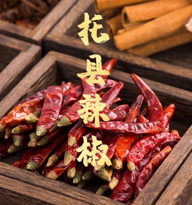 托克托味道丨托县辣椒