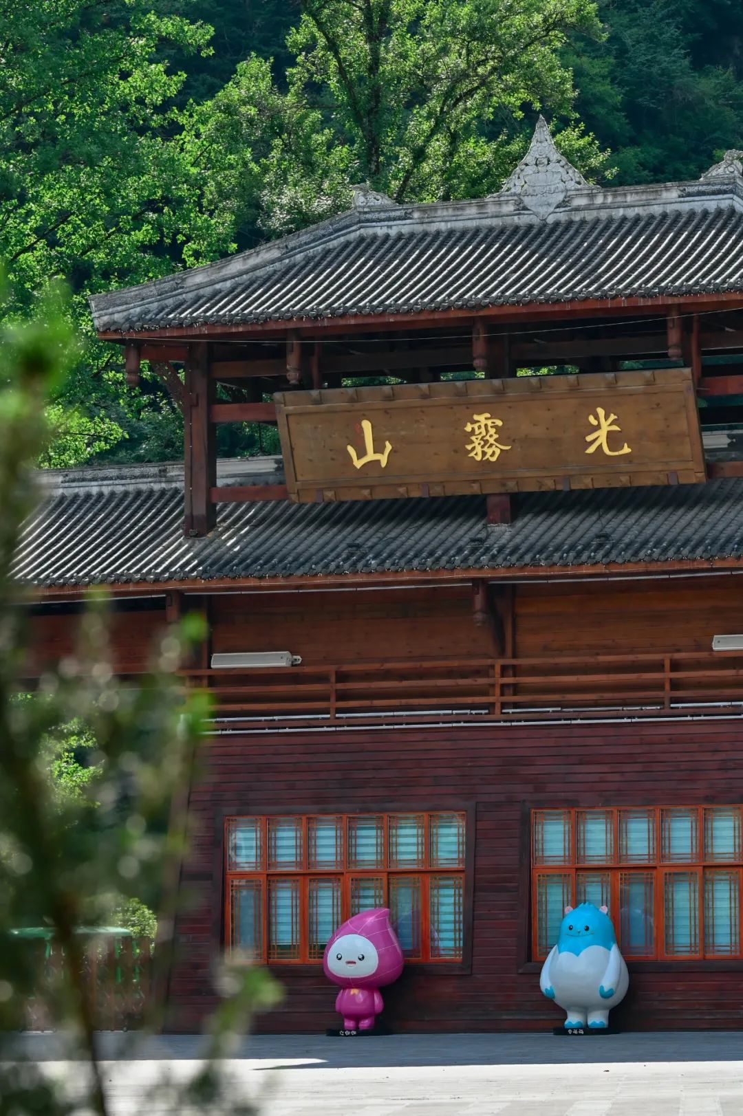 避暑光雾清凉一夏丨光雾山旅游区中高考学生免费游福利来袭赶紧带上准