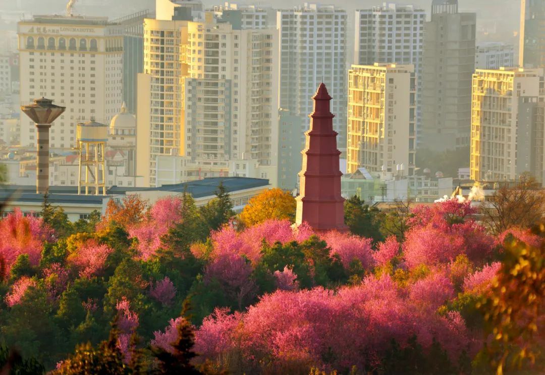 我为云南新地标点赞玉溪红塔山这里见证了一座城市的精神之光