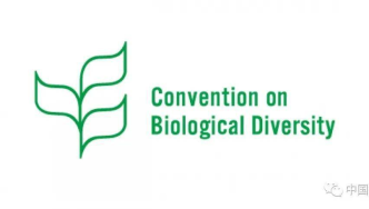 绿会国际部受邀参加“国家红色名录及其与2020年后全球生物多样性框架的联系”研讨会