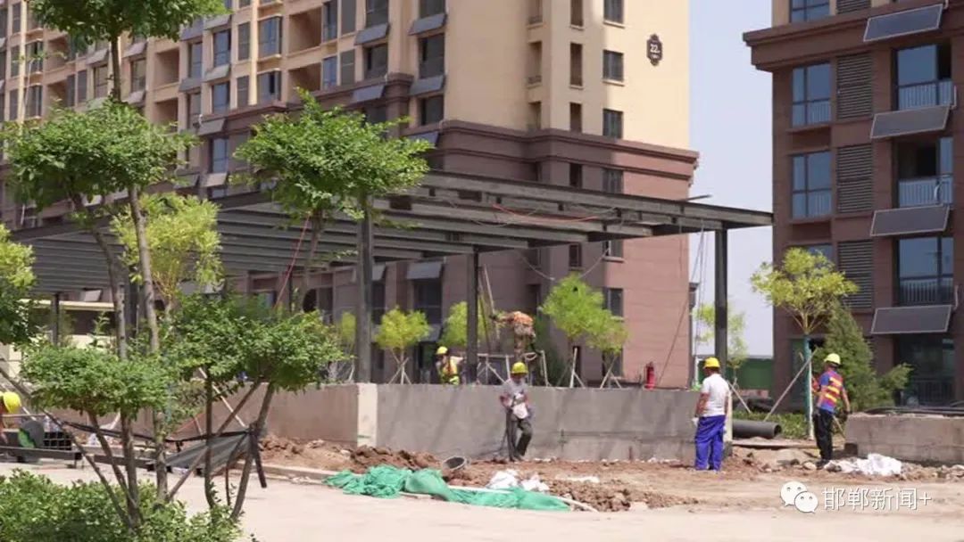 关注高温天气我市各地积极采取措施应对持续高温天气