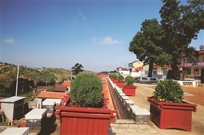 走进县城看发展拓强村富民路树文明新风尚山西武乡县推进乡村振兴纪实