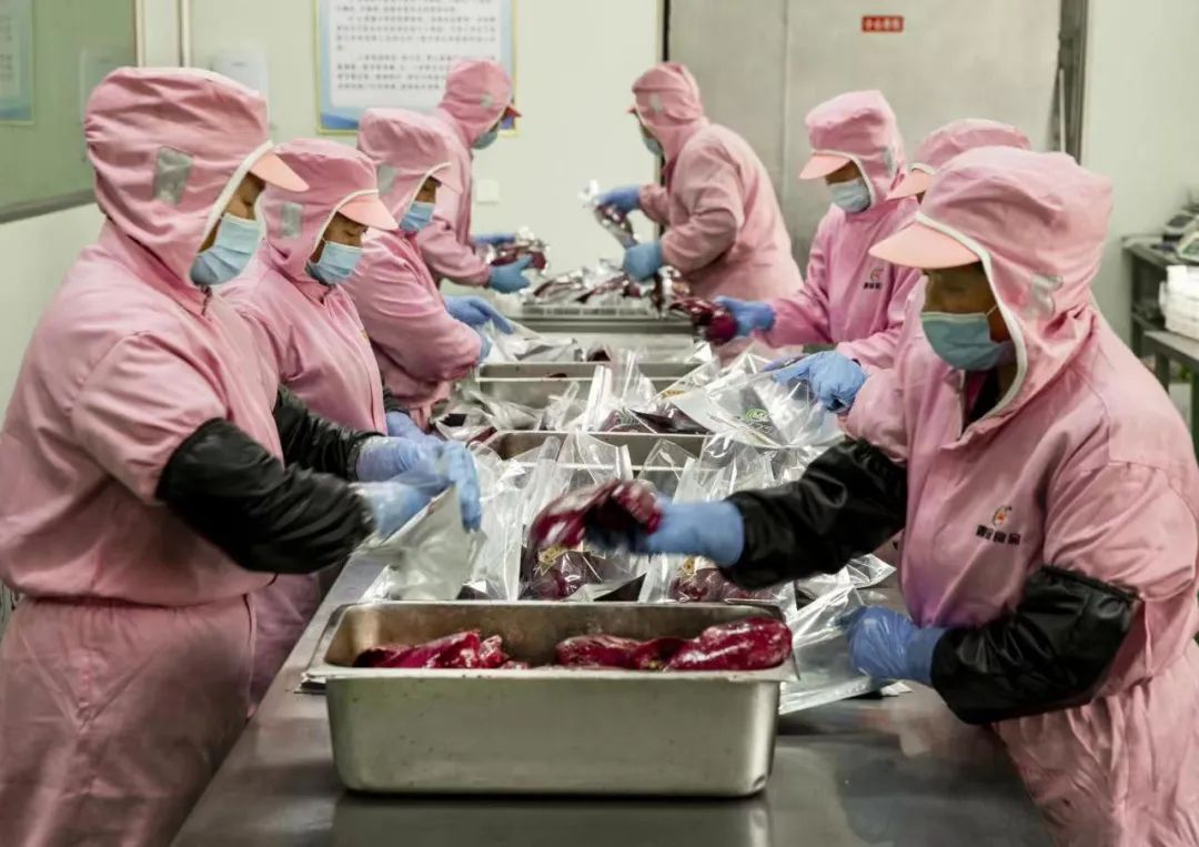 富强临朐 | 国内鹅肥肝,四成来自临朐