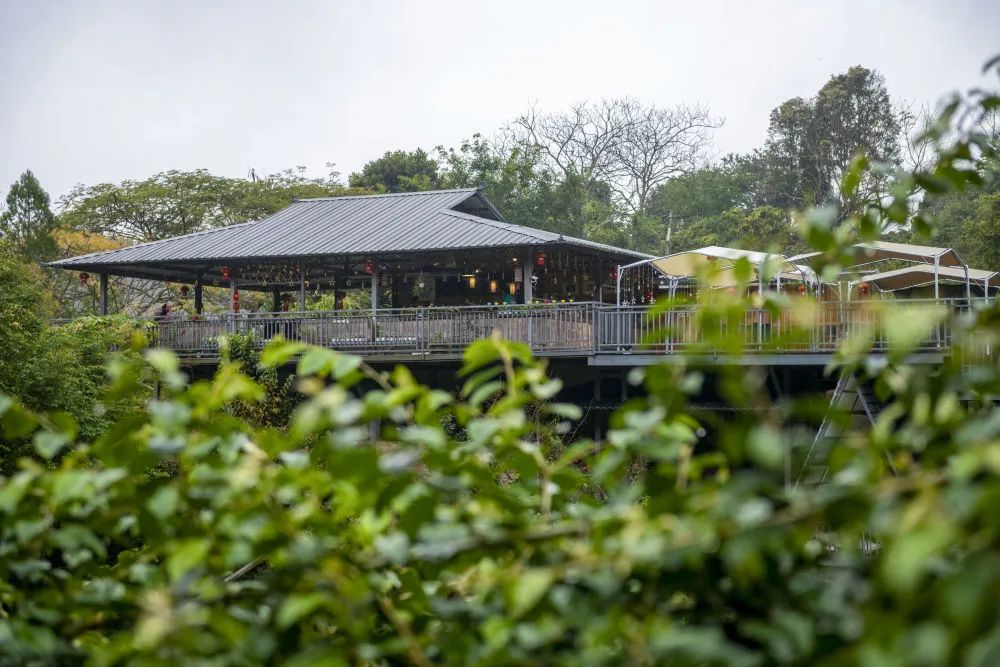 普洱咖啡正在被看到新华社关注普洱咖啡小庄园延伸产业长链条