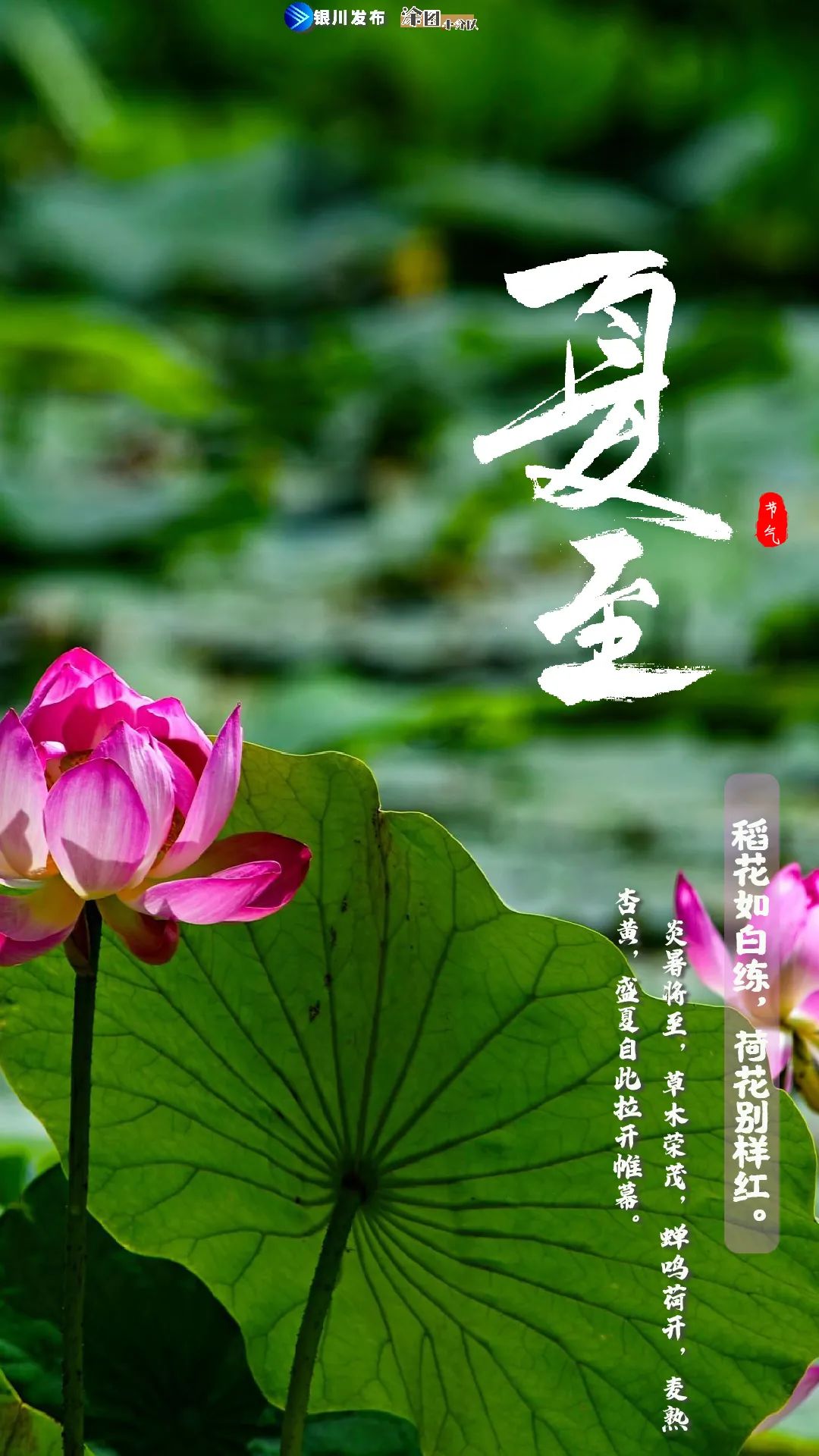夏至已至今天白天格外长