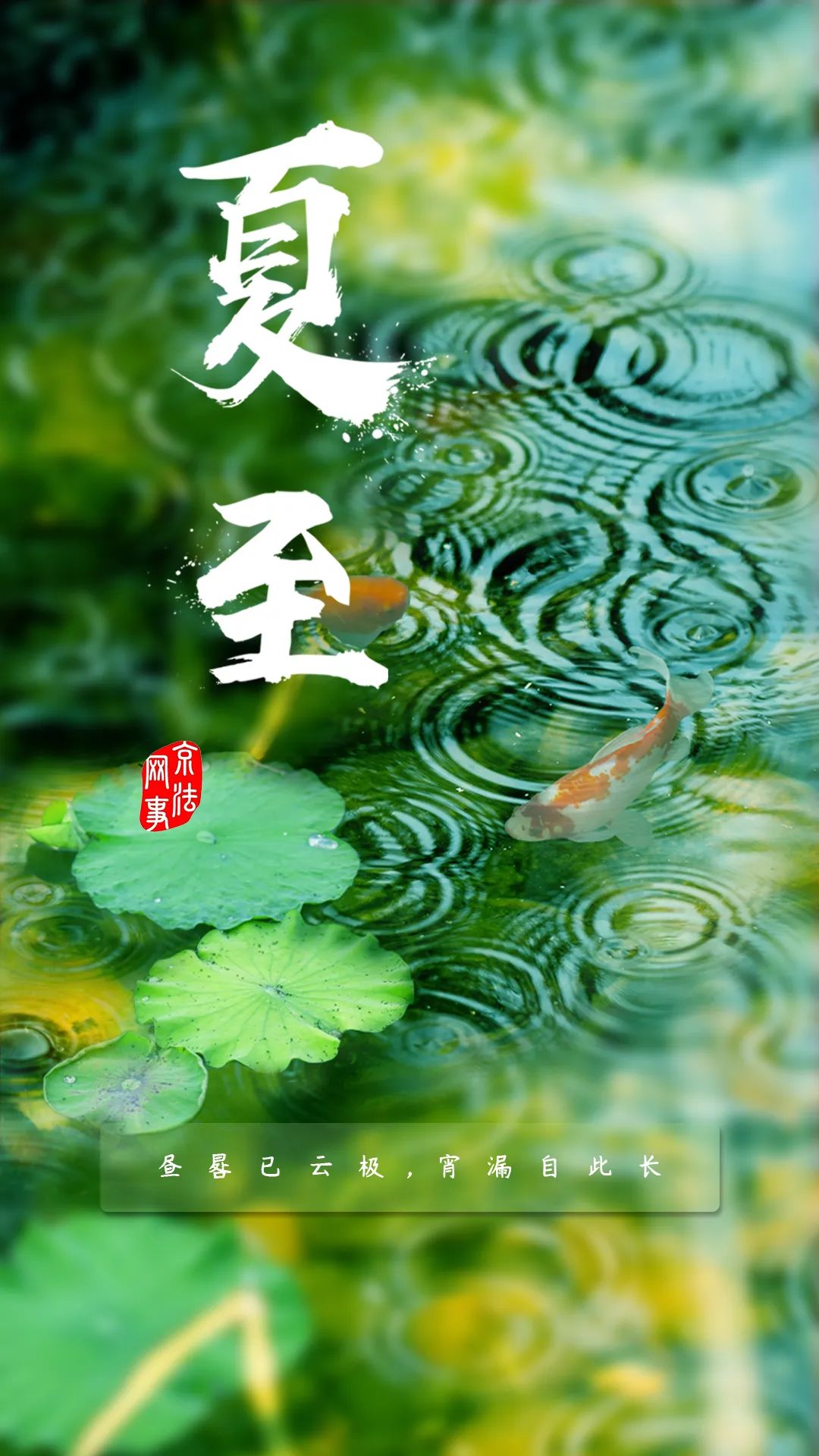 制图:崔硕原标题:《今日夏至》