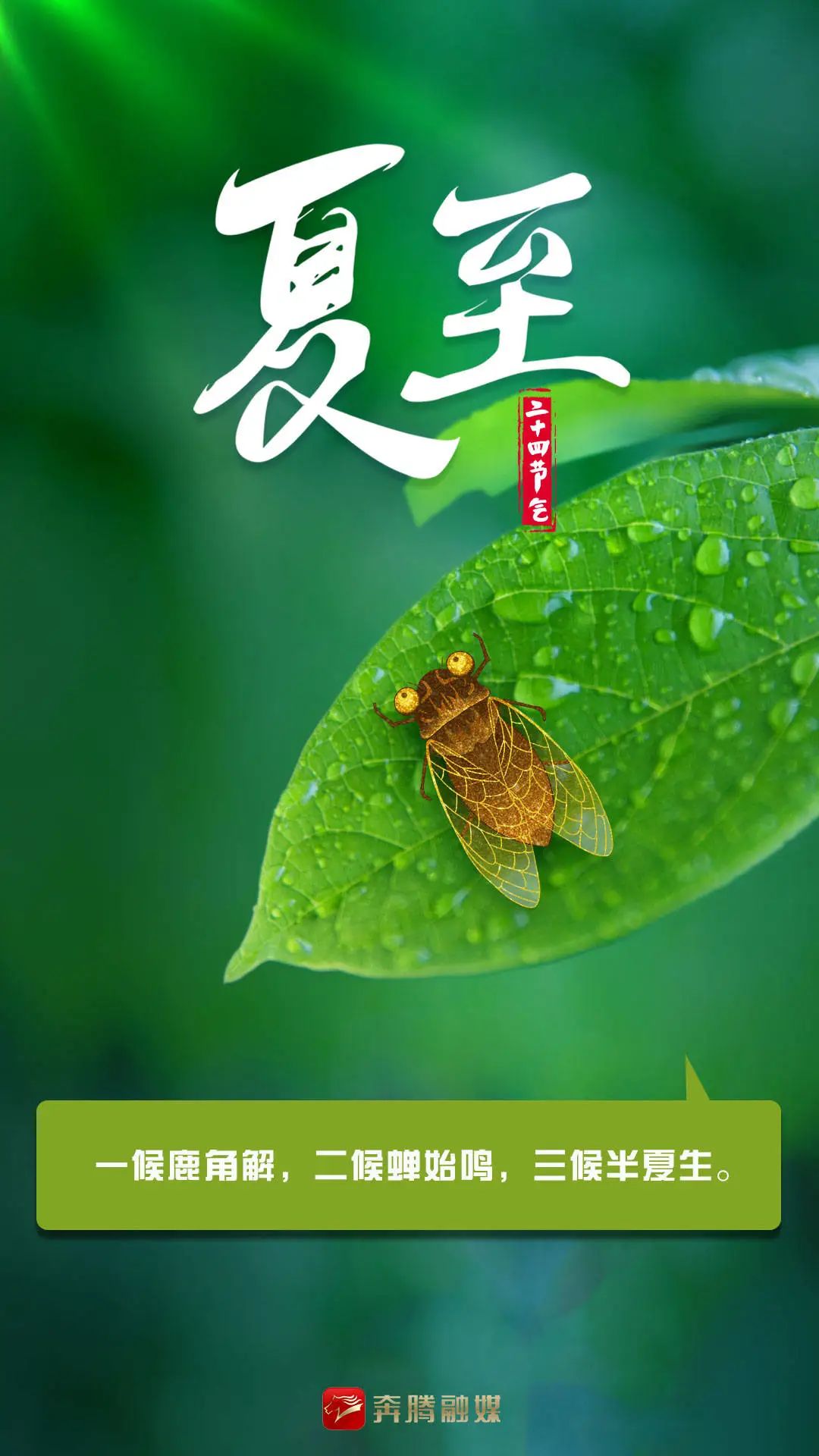 奔腾四季夏至已至一年过半