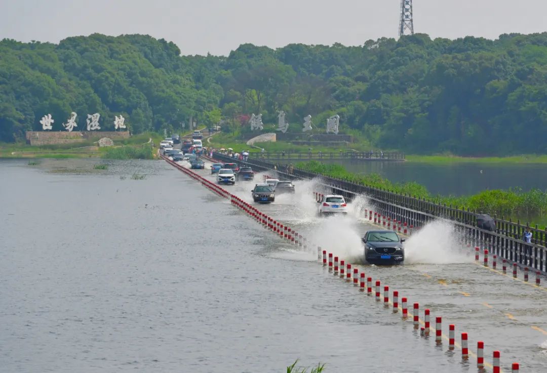 "最美水上公路"位于"中国候鸟小镇"永修组团吴城镇,每年入汛期间