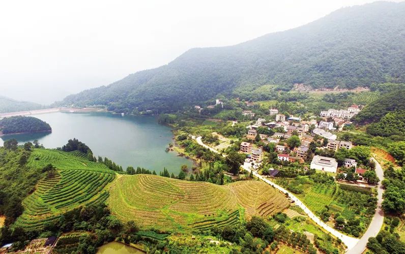 乡村建设塑形再造,造福地方百姓人家—以景中村(鹿田村)乡村建设为