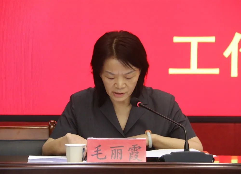 环境工作督办会,党组副书记,副院长谭小军,审判委员会专职委员毛丽霞