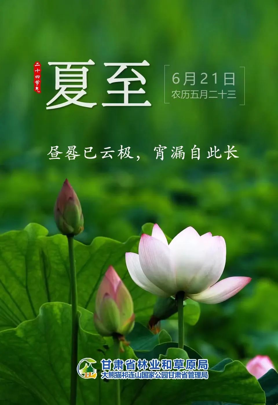 原标题:《二十四节气丨夏至》特别声明本文为澎湃号作者或机构在澎湃