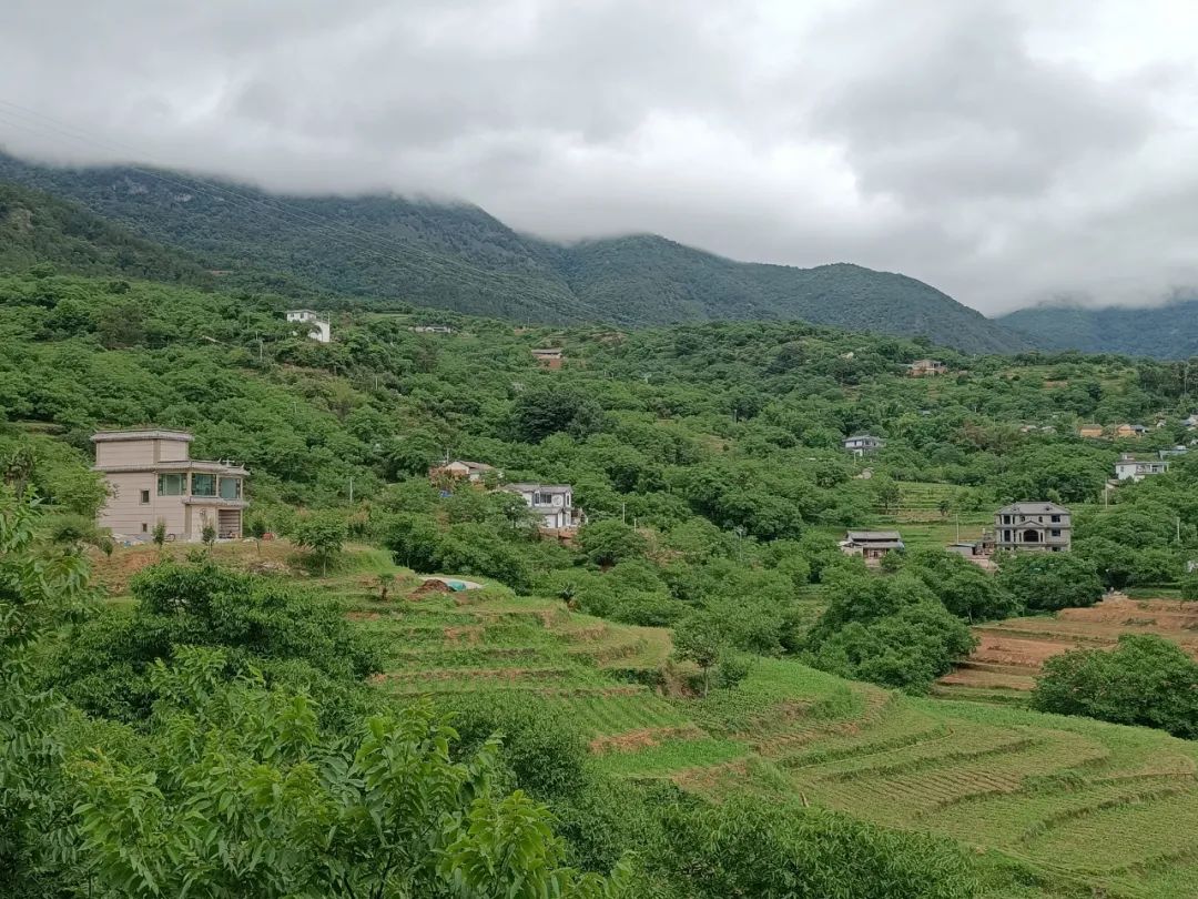 紫金乡迅速掀起"我为群众算笔账"专项活动热潮