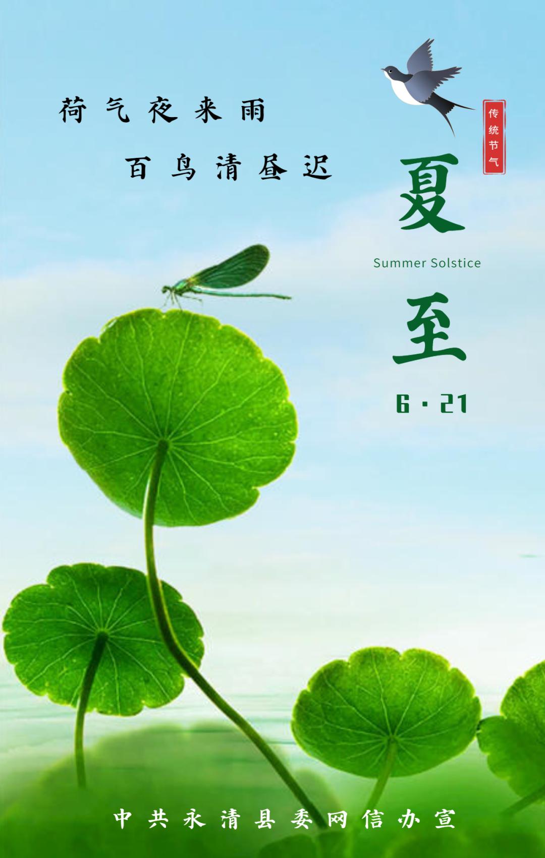 原标题:《【今日夏至】海报 | 荷气夜来雨 百鸟清昼迟》