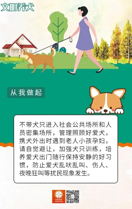 呼市人文明養犬從我做起