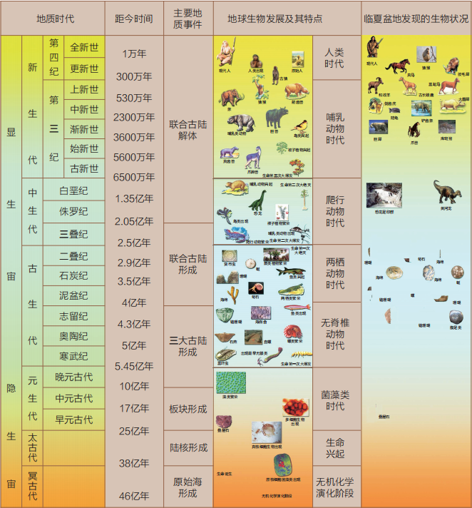 地质年代与生物演化史表