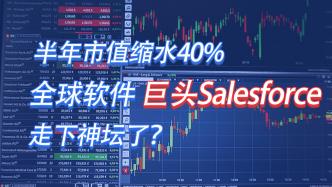 半年市值縮水40%，全球軟件巨頭走下神壇了？